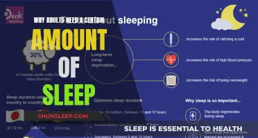 Sleep: The Adult Performance and Health Balancer