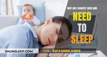 Fighting Fatigue: Why Am I Always Tired?