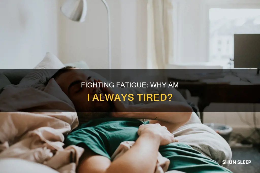 why am i always tired and need to sleep