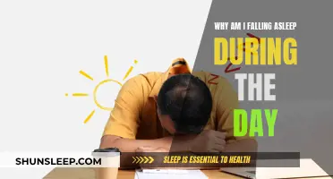 Daytime Sleepiness: Why Am I Falling Asleep?