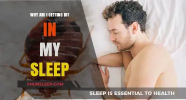 Why Do I Wake Up with Bug Bites? Causes and Solutions