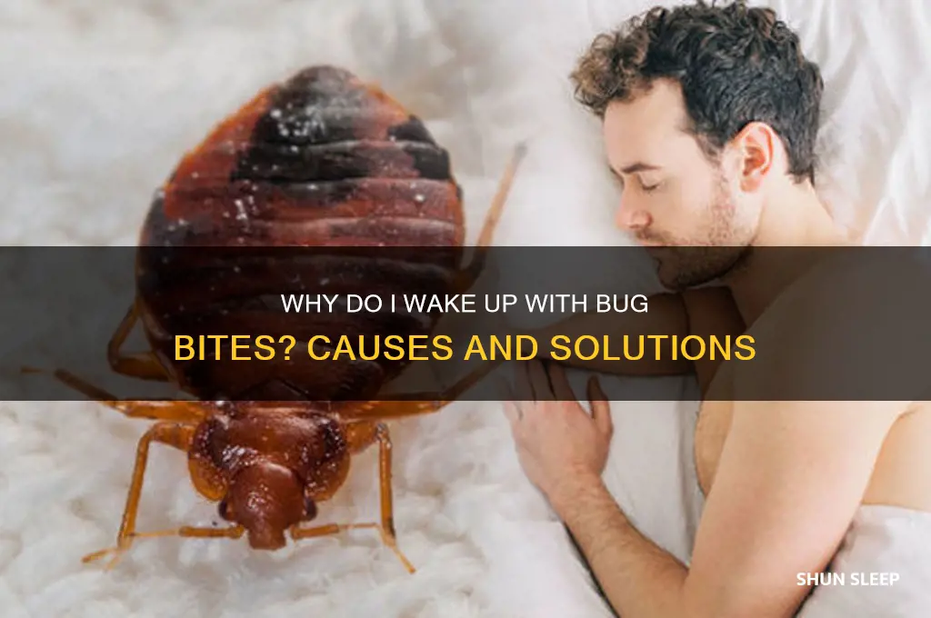 why am i getting bit in my sleep
