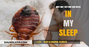 Why Do I Wake Up with Bug Bites Every Morning?
