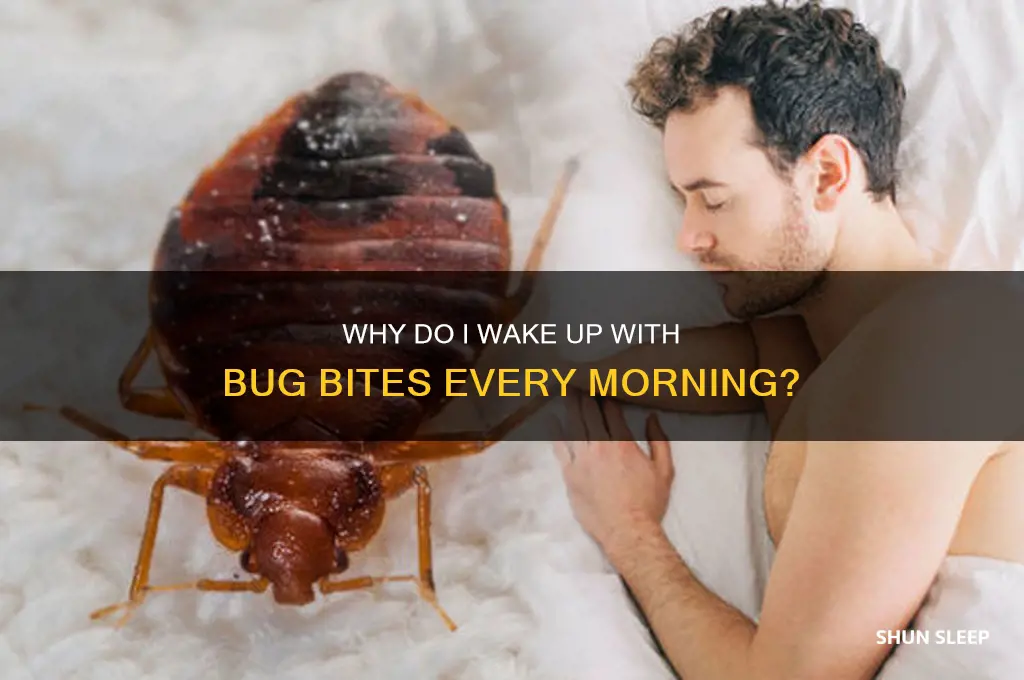 why am i getting bug bites in my sleep