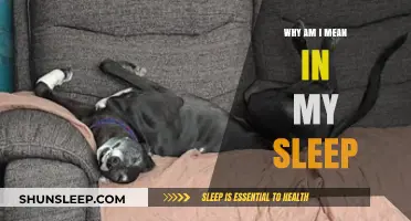 Sleep Talking: Why Do I Sound Mean Asleep?