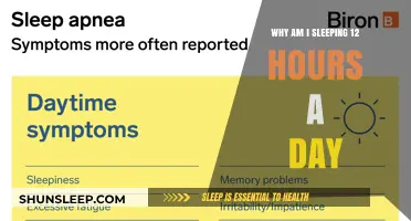 Understanding Excessive Sleep: Causes and Solutions for 12-Hour Slumbers