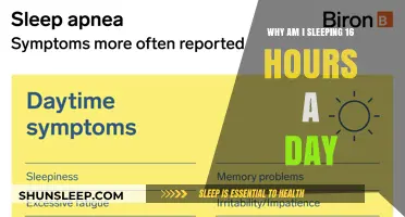 Understanding Excessive Sleep: Causes and Solutions for Sleeping 16 Hours a Day