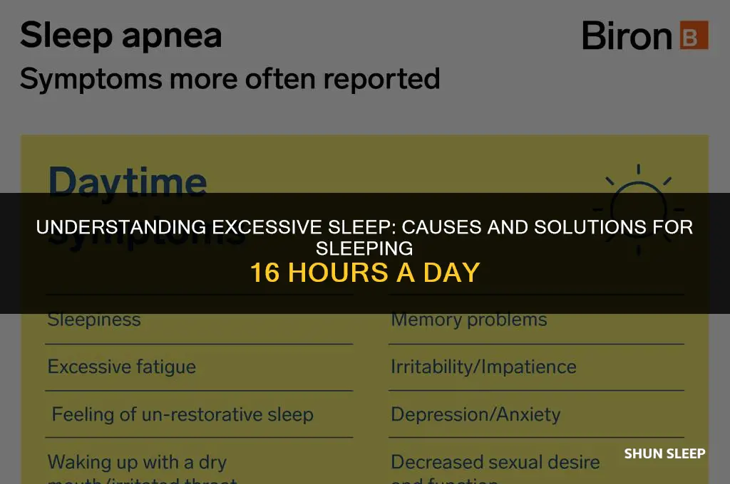 why am i sleeping 16 hours a day