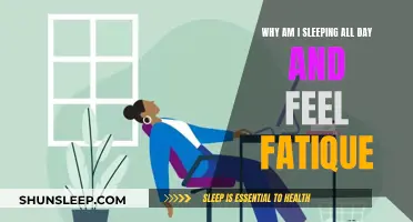 Battling Fatigue: Why Am I Sleeping All Day?