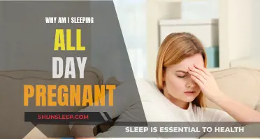 Pregnancy Sleep: Why Am I Sleeping All Day?