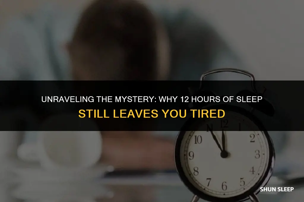 why am i still tired after 12 hours of sleep