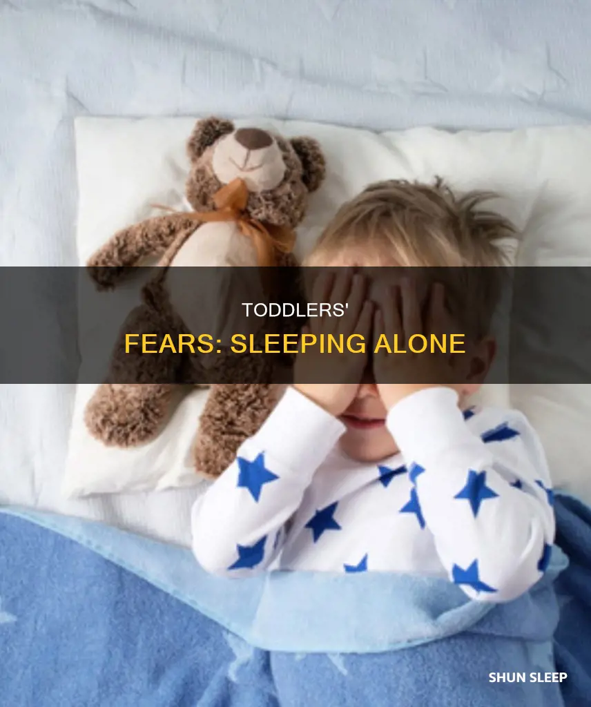 why are 2 year olds afraid to sleep alone