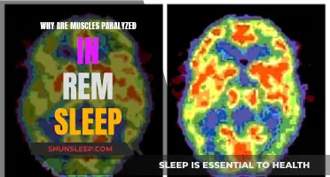 Understanding REM Paralysis: Why Muscles Freeze During Sleep