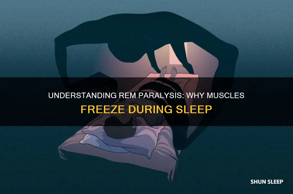 why are muscles paralyzed in rem sleep