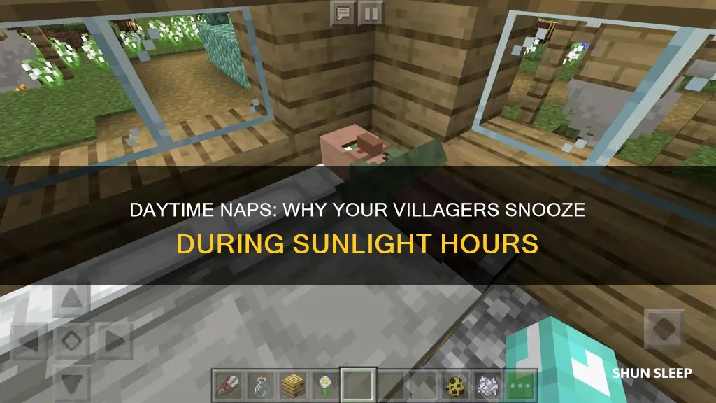 why are my villagers sleeping during the day