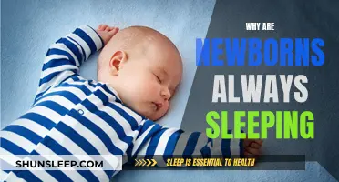 Newborns Sleep: Understanding Their Unique Sleep Patterns and Needs