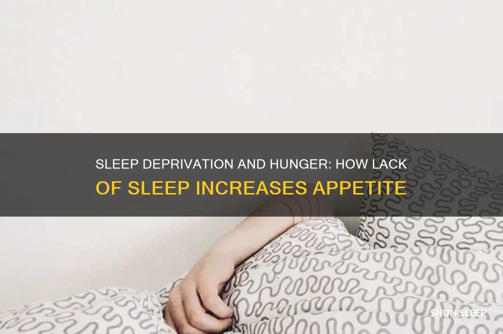 why are we hungry when not getting enough sleep