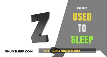 The Zzz's: Unlocking Sleep's Mystery