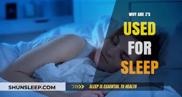 The Mystery of Z's and Sleep Explained