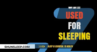 The Mystery Behind ZZZs and Sleep