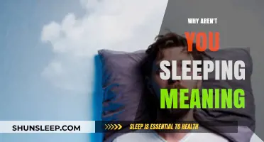 The Mystery of Sleep: Why Aren't We Sleeping?