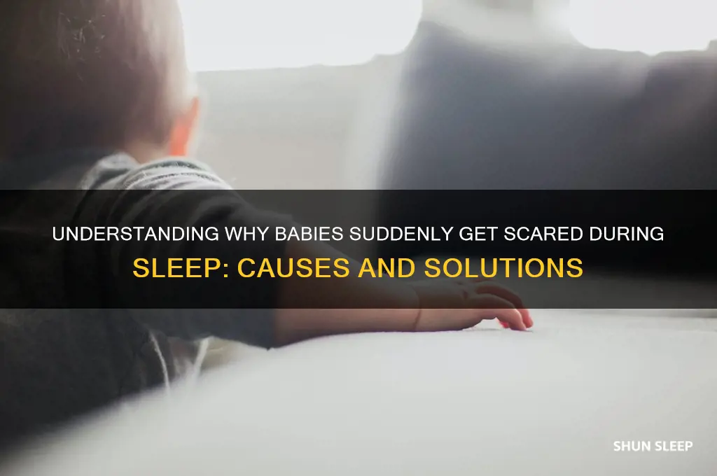 why babies get scared in sleep