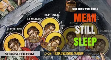 Woke but Asleep: The Paradox of Awareness
