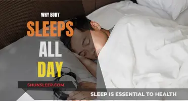 The Body's Need for Sleep: Understanding Daily Slumber