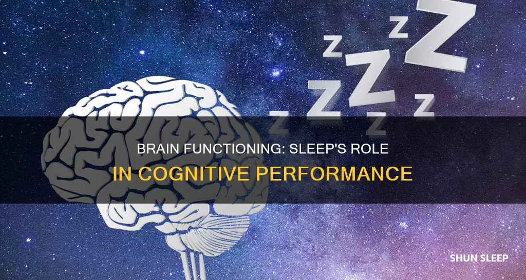 why braons need sleep