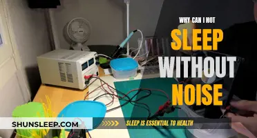 The Calm Before Sleep: Why Noise Helps
