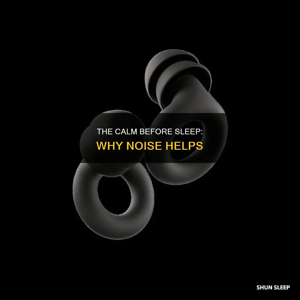 why can i not sleep without noise