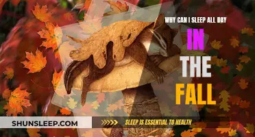 The Autumn Sleep Effect: Why We Snooze Through Fall