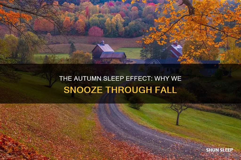 why can i sleep all day in the fall