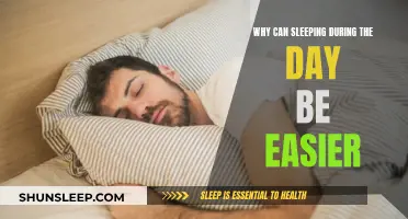 Daytime Sleep: Why Is It Easier to Nap?