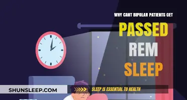 Bipolar Disorder and REM Sleep: Unraveling the Unbroken Cycle