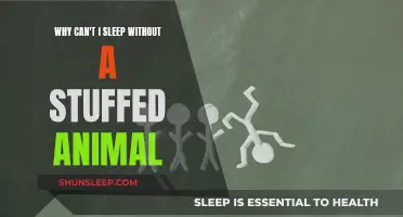 The Comfort of Stuffed Animals: A Sleep Companion