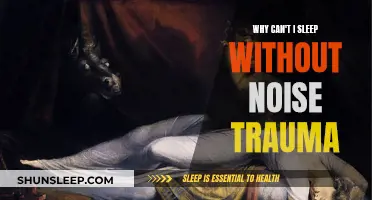 Noise Trauma: The Battle for Peaceful Sleep