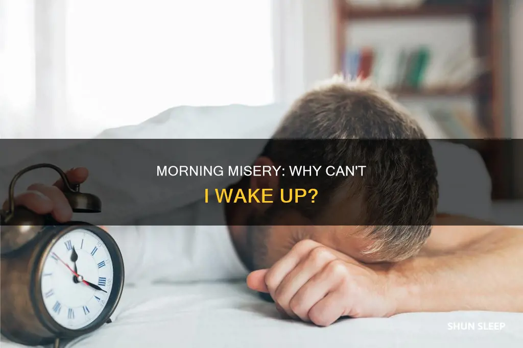 why can