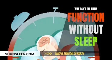 Brain Sleep: Essential for Function and Health