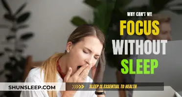 Sleep Deprivation: The Brain's Focus and Productivity Killer