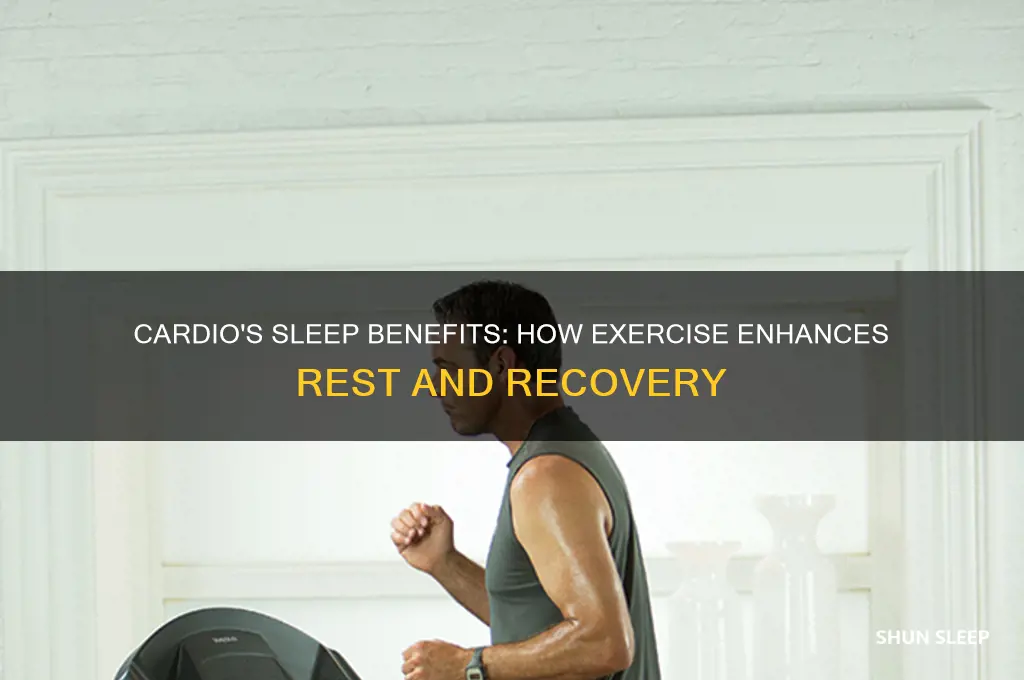 why cardio helps sleep