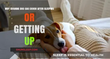 Understanding Cushing's Dog Reverse Sneezing After Rest: Causes and Care
