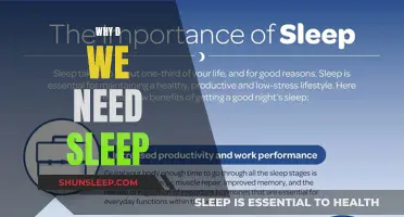 Sleep: The Ultimate Brain Recharge and Health Boost