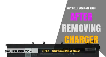 Why Dell Laptops Sleep When Unplugged: Causes and Fixes