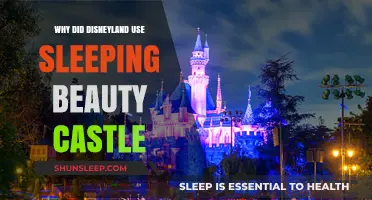 Disneyland's Sleeping Beauty Castle: A Strategic Marketing Move