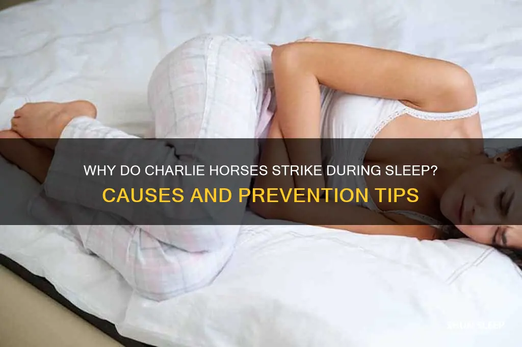 why did i get a charlie horse while sleeping