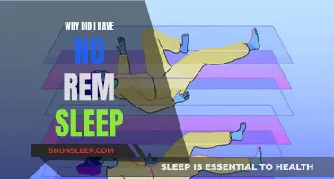 REM Sleep Elusive: Understanding the Science Behind Sleep Patterns