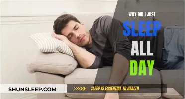 Sleep All Day: Understanding the Reasons Behind Excessive Sleep