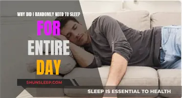 Sleep: A Day-Long Need or a Mystery?