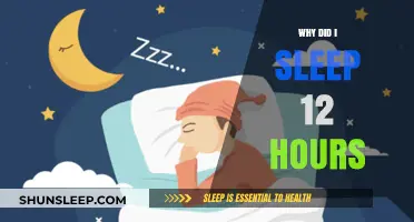 Unraveling the Mystery: Why I Slept 12 Hours Straight